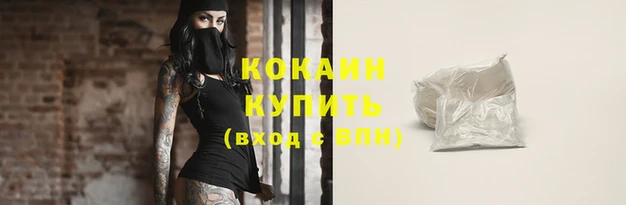jwh Новозыбков