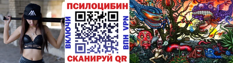 Галлюциногенные грибы мицелий  как найти наркотики  Камбарка 